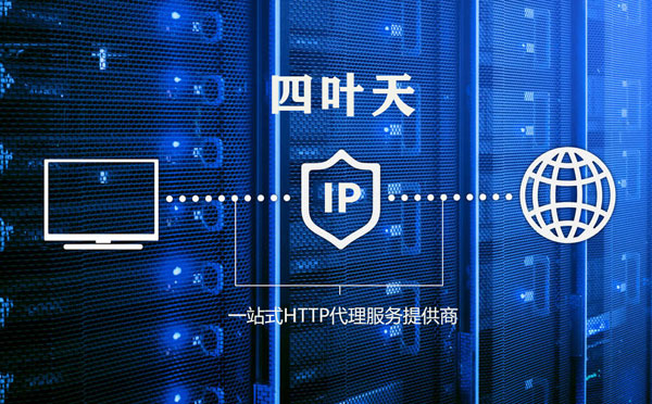 【日喀则代理IP】代理IP的主要用途和使用注意事项